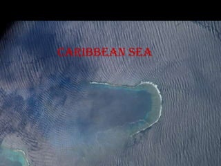 Caribbean sea
 