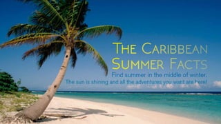 Caribbean summer