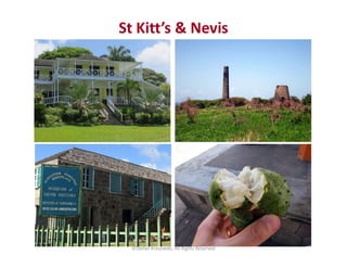 St Kitt’s & Nevis
©Stefan Krasowski, All Rights Reserved
 