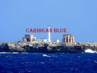 Caribean blue
 