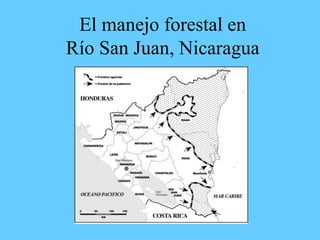 El manejo forestal en
Río San Juan, Nicaragua
 
