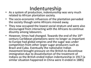 Indentureship
• As a system of production, indentureship was very much
related to African plantation society.
• The socio-economic influences of the plantation pervaded
the society though some Africans moved away.
• They now occupied the lowest social stratum and were also
discouraged from interacting with the Africans to continue
disunity among labourers.
• However, times had changed. Towards the end of the 19th
century Caribbean plantations were no longer as important
to Europe had global empires and the sugar was under
competition from other larger sugar producers such as
Brazil and Cuba. Eventually the nationalist Indian
movement brought pressure on the British to discontinue
immigration due to dissatisfaction of the treatment of
Indians so the British ended Indian indentureship in 1917 (a
similar situation happened in China were it ended in 1885)
 