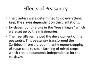 Effects of Peasantry
• The planters were determined to do everything
keep the slaves dependent on the plantations.
• Ex-slaves found refuge in the ‘free villages ‘ which
were set up by the missionaries.
• The free villages helped the development of the
peasantry. This peasantry transformed the
Caribbean from a predominantly mono-cropping
of sugar cane to small farming of mixed crops
which created economic independence for the
ex-slaves.
 
