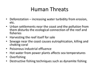Human Threats
• Deforestation – increasing water turbidity from erosion,
etc.
• Urban settlements near the coast and the pollution from
them disturbs the ecological connection of the reef and
fisheries
• Harvesting the reef itself for sale
• Sewage near the coast causes eutrophication, killing and
choking coral
• Poisonous industrial effluence
• Hot water from power plants affects sea temperatures
• Overfishing
• Destructive fishing techniques such as dynamite fishing
 