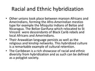 Racial and Ethnic hybridization
• Other unions took place between maroon Africans and
Amerindians, forming the Afro-Amerindian mestizo
type for example the Misquito Indians of Belize and
Nicaragua. The Belize Garifuna which relocated to St
Vincent were descendants of Black Carib rebels and
local Africans and Amerindians.
• Their Arawakian language persists as well as the
religious and kinship networks. This hybridized culture
is a remarkable example of cultural retention.
• The Caribbean is a rich showcase of racial and ethnic
diversity from hybridization and as such can be defined
as a polyglot society.
 