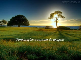 Formatação: o caçador de imagens
 