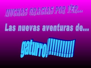 Muchas gracias por ver... Las nuevas aventuras de... gaturro!!!!!!!!!!!! 