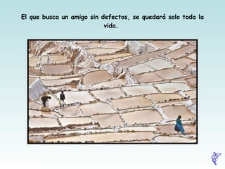 El que busca un amigo sin defectos, se quedará solo toda la vida.  