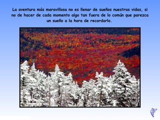 La aventura más maravillosa no es llenar de sueños nuestras vidas, si no de hacer de cada momento algo tan fuera de lo común que parezca un sueño a la hora de recordarlo.   