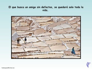 El que busca un amigo sin defectos, se quedará solo toda la vida.  