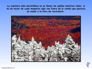 La aventura más maravillosa no es llenar de sueños nuestras vidas, si no de hacer de cada momento algo tan fuera de lo común que parezca un sueño a la hora de recordarlo.   