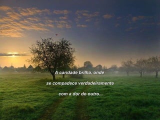 A caridade brilha, onde  se compadece verdadeiramente com a dor do outro... 
