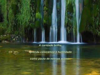 A caridade brilha, quando colocamos a humildade como pauta de nossas ações... 