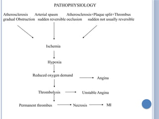 Atherosclerosis Arterial spasm Atherosclerosis+Plaque split+Thrombus
gradual Obstruction sudden reversible occlusion sudden not usually reversible
Ischemia
Hypoxia
Reduced oxygen demand
Thrombolysis
Permanent thrombus Necrosis MI
Unstable Angina
Angina
PATHOPHYSIOLOGY
 