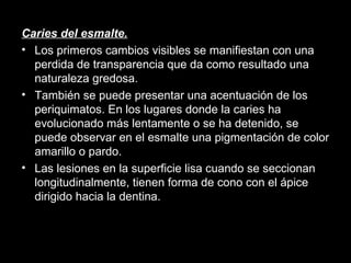 Caries del esmalte. Los primeros cambios visibles se manifiestan con una perdida de transparencia que da como resultado una naturaleza gredosa.  También se puede presentar una acentuación de los periquimatos. En los lugares donde la caries ha evolucionado más lentamente o se ha detenido, se puede observar en el esmalte una pigmentación de color amarillo o pardo.  Las lesiones en la superficie lisa cuando se seccionan longitudinalmente, tienen forma de cono con el ápice dirigido hacia la dentina. 