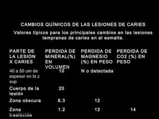 CAMBIOS QUÍMICOS DE LAS LESIONES DE CARIES Valores típicos para los principales cambios en las lesiones tempranas de caries en el esmalte. PARTE DE LA LESION  X CARIES PERDIDA   DE MINERAL(%)EN VOLUMEN PERDIDA DE MAGNESIO (%) EN PESO PERDIDA DE CO2 (%) EN PESO 40 a 50 um de espesor en la z sup 10 N o detectada Cuerpo de la lesión 20 Zona obscura 6.3 12 Zona traslúcida 1.2 12 14 