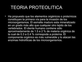 Ha propuesto que los elementos orgánicos o proteínicos constituyen la primera vía para la invasión de los microorganismos. El esmalte maduro esta mineralizado en un grado más alto que cualquier otro tejido de los vertebrados. El diente humano contiene sólo aproximadamente de 1.5 a 2 % de materia orgánica de la cual de 0.3 a 0.4 % correspode a proteína. El componente orgánico es más vulnerable y lo atacan las enzimas hidrolíticas de los microorganismos. TEORIA PROTEOLITICA 