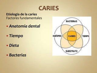 CARIESEtiología de la cariesFactores fundamentalesAnatomía dentalTiempoDietaBacterias