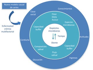 Nuevo modelo causal
        de caries
                                                            Conocimientos
                             Clase
                             social               Flúor
                                                  Dieta
                                                  Azúcar
                                                                 Especies
Enfermedad                                                      microbianas
                                Capacidad
  crónica                                       Depósitos
                                  buffer
multifactorial                                 microbianos

                                                            Tiempo               Actitudes
                  Conducta
                                                 Diente
                                 Composición                      Capacidad
                                   salival                          buffer
                                                   Flujo
                                                  salival
                                                                      Ingresos
                               Educación
 