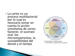 

La caries es un
proceso multifactorial
por lo cual es
necesario tomar en
cuenta la acción
simultanea de varios
factores: el sustrato
oral, los
microorganismos, la
susceptibilidad del
diente y el tiempo

 