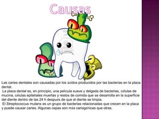 Las caries dentales son causadas por los ácidos producidos por las bacterias en la placa
dental.
La placa dental es, en principio, una película suave y delgada de bacterias, células de
mucina, células epiteliales muertas y restos de comida que se desarrolla en la superficie
del diente dentro de las 24 h después de que el diente se limpia.
El Streptococcus mutans es un grupo de bacterias relacionadas que crecen en la placa
y puede causar caries. Algunas cepas son más cariogénicas que otras.

 