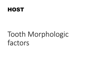 Tooth Morphologic
factors
HOST
 