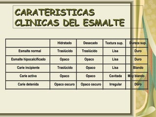 HidratadoHidratado DesecadoDesecado Textura sup.Textura sup. Dureza sup.Dureza sup.
Esmalte normalEsmalte normal TraslúcidoTraslúcido TraslúcidoTraslúcido LisaLisa DuroDuro
Esmalte hipocalcificadoEsmalte hipocalcificado OpacoOpaco OpacoOpaco LisaLisa DuroDuro
Carie incipienteCarie incipiente TraslúcidoTraslúcido OpacoOpaco LisaLisa BlandoBlando
Carie activaCarie activa OpacoOpaco OpacoOpaco CavitadaCavitada Muy blandoMuy blando
Carie detenidaCarie detenida Opaco oscuroOpaco oscuro Opaco oscuroOpaco oscuro IrregularIrregular DuroDuro
CARATERISTICASCARATERISTICAS
CLINICAS DEL ESMALTECLINICAS DEL ESMALTE
 