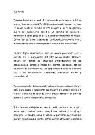 1.2 Partes
Esmalte dental: es un tejido formado por hidroxiapatita y proteínas
(en muy baja proporción).Es el tejido más duro del cuerpo humano.
En zonas donde el esmalte es más delgado o se ha desgastado,
puede ser sumamente sensible. El esmalte es translúcido,
insensible al dolor pues en el no existen terminaciones nerviosas.
Con el flúor se forman cristales de fluorhidroxiapatita que es mucho
más resistente que la hidroxiapatita al ataque de la caries dental.
Dentina: tejido mineralizado, pero en menor proporción que el
esmalte. Es el responsable del color de los dientes. Contiene
túbulos en donde se proyectan prolongaciones de los
odontoblastos, llamados fribillas de Thomes, las cuales son las
causantes de la sensibilidad. Las propiedades físicas de la dentina
son: Color, radiopacidad, traslucidez, elasticidad, dureza y
permeabilidad.
Cemento radicular: tejido conectivo altamente especializado.Es una
capa dura, opaca y amarillenta que recubre la dentina a nivel de la
raíz del diente. Se encarga de unir al órgano dentario con el hueso
alveolar a través del ligamento periodontal.
Pulpa dentaria: de tejido mesodérmico está constituida por un tejido
suave que contiene vasos sanguíneos (arteria y vena) que
conducen la sangre hacia el diente y por fibras nerviosas que
otorgan sensibilidad al diente. Dichos nervios atraviesan la raíz (del
 