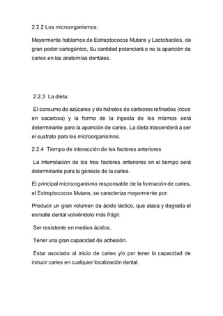 2.2.2 Los microorganismos:
Mayormente hablamos de Estreptococos Mutans y Lactobacilos, de
gran poder cariogénico, Su cantidad potenciará o no la aparición de
caries en las anatomías dentales.
2.2.3 La dieta:
El consumo de azúcares y de hidratos de carbonos refinados (ricos
en sacarosa) y la forma de la ingesta de los mismos será
determinante para la aparición de caries. La dieta trascenderá a ser
el sustrato para los microorganismos.
2.2.4 Tiempo de interacción de los factores anteriores
La interrelación de los tres factores anteriores en el tiempo será
determinante para la génesis de la caries.
El principal microorganismo responsable de la formación de caries,
el Estreptococos Mutans, se caracteriza mayormente por:
Producir un gran volumen de ácido láctico, que ataca y degrada el
esmalte dental volviéndolo más frágil.
Ser resistente en medios ácidos.
Tener una gran capacidad de adhesión.
Estar asociado al inicio de caries y/o por tener la capacidad de
inducir caries en cualquier localización dental.
 