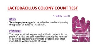 LACTOBACILLUS COLONY COUNT TEST
• Hadley (1933)
• BASIS
• Tomato peptone agar is the selective medium favoring
the growth of aciduric lactobacilli.
• PRINCIPLE:
• The number of acidogenic and aciduric bacteria in the
patient’s saliva are estimated by counting the number
of colonies appearing on tomato peptone agar after
inoculation with a sample of saliva.
 