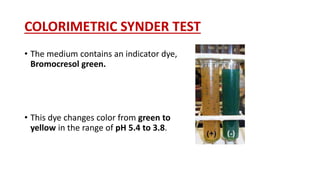 COLORIMETRIC SYNDER TEST
• The medium contains an indicator dye,
Bromocresol green.
• This dye changes color from green to
yellow in the range of pH 5.4 to 3.8.
 