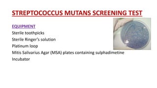 STREPTOCOCCUS MUTANS SCREENING TEST
EQUIPMENT
Sterile toothpicks
Sterile Ringer’s solution
Platinum loop
Mitis Salivarius Agar (MSA) plates containing sulphadimetine
Incubator
 