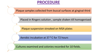 PROCEDURE
Plaque samples collected from buccal surfaces at gingival third
Placed in Ringers solution , sample shaken till homogenised
Plaque suspension streaked on MSA plates
Aerobic incubation at 37 0 C for 72 hours
Cultures examined and colonies recorded for 10 fields.
 