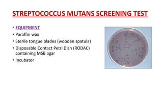 STREPTOCOCCUS MUTANS SCREENING TEST
• EQUIPMENT
• Paraffin wax
• Sterile tongue blades (wooden spatula)
• Disposable Contact Petri Dish (RODAC)
containing MSB agar
• Incubator
 