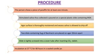 PROCEDURE
The person chews a piece of paraffin for at least one minute.
Stimulated saliva thus collected is poured on a special plastic slide containing MSA
Agar surface is thoroughly moistened and excess saliva is allowed to drip off
Two disks containing 5µg of Bacitracin are placed on agar 20mm apart
Slide is tightly screwed into a cover tube after inserting CO2 tablet.
Incubation at 37 0 C for 48 hours in a sealed candle jar.
 