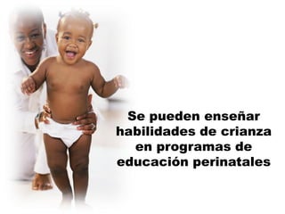 Se pueden enseñar
habilidades de crianza
  en programas de
educación perinatales
 