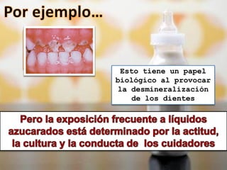 Es más frecuente
 en niños que se
quedan dormidos
  con el biberón
                    Esto tiene un papel
                   biológico al provocar
                   la desmineralización
                      de los dientes
 