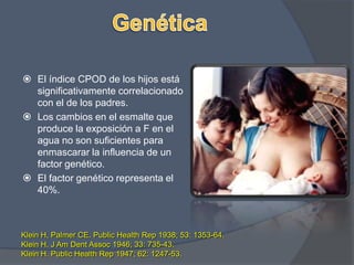 Áreas de contacto proximal.