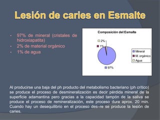 Superficies bucales y linguales, debajo del ecuador dentario.