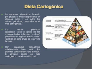 Dieta CariogénicaLa sacarosa (disacárido formado por glucosa y fructosa) presente en algunas frutas y en todos los dulces, golosinas, caramelos es el más cariogénico.Con menos potencial cariógeno, viene el grupo de los monosacáridos (glucosa, fructosa) presentes en algunas frutas y miel. También en este grupo se incluye la lactosa.Con capacidad cariogénica relativamente baja están los grandes polisacáridos tipo almidón. El almidón cocido es más cariogénico que el almidón crudo