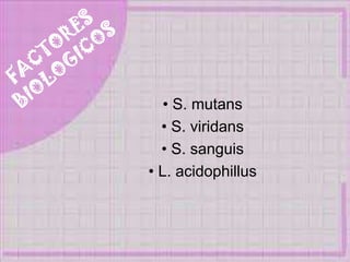 • S. mutans
• S. viridans
• S. sanguis
• L. acidophillus
 