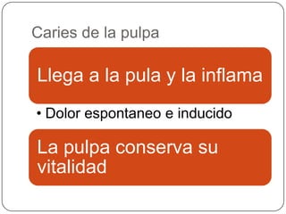 Caries de la pulpa
Llega a la pula y la inflama
• Dolor espontaneo e inducido
La pulpa conserva su
vitalidad
 