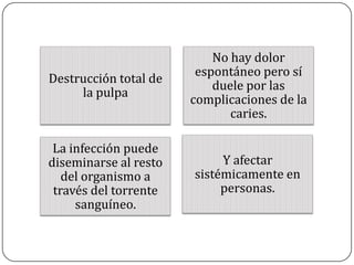 Destrucción total de
la pulpa
No hay dolor
espontáneo pero sí
duele por las
complicaciones de la
caries.
La infección puede
diseminarse al resto
del organismo a
través del torrente
sanguíneo.
Y afectar
sistémicamente en
personas.
 