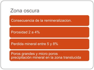 Zona oscura
Consecuencia de la remineralizacion.
Porosidad 2 a 4%
Perdida mineral entre 5 y 8%
Poros grandes y micro poros
precipitación mineral en la zona translucida
 