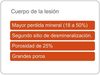 Cuerpo de la lesión
Mayor perdida mineral (18 a 50%)
Segundo sitio de desmineralización.
Porosidad de 25%
Grandes poros
 