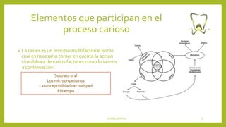 Elementos que participan en el
proceso carioso
• La caries es un proceso multifactorial por lo
cual es necesario tomar en cuenta la acción
simultánea de varios factores como lo vemos
a continuación:
CARIES DENTAL 6
Sustrato oral
Los microorganismos
La susceptibilidad del huésped
El tiempo
 