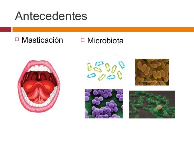 Odontologia I Bioquimica de Diente Caries Dental