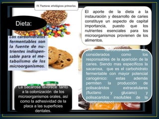 Dieta:
El aporte de la dieta a la
instauración y desarrollo de caries
constituye un aspecto de capital
importancia, puesto que los
nutrientes esenciales para los
microorganismos provienen de los
alimentos.
Los carbohidratos son
considerados como los
responsables de la aparición de la
caries. Siendo mas específicos la
sacarosa, que es el carbohidrato
fermentable con mayor potencial
cariogénico: estas además
permiten la producción de
polisacáridos extracelulares
(fluctano y glucano) y
polisacaridos insolubles de la
matriz (mutano)
La Sacarosa favorece tanto
a la colonización de los
microorganismos orales, así
como la adhesividad de la
placa a las superficies
dentales.
 