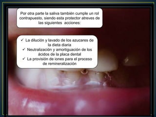 Por otra parte la saliva también cumple un rol
contrapuesto, siendo esta protector atreves de
las siguientes acciones:
 La dilución y lavado de los azucares de
la dieta diaria
 Neutralización y amortiguación de los
ácidos de la placa dental
 La provisión de iones para el proceso
de remineralización
 
