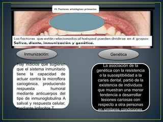 Inmunización:
Hay indicios que sugieren
que el sistema inmunitario
tiene la capacidad de
actuar contra la microflora
cariogénica, produciendo
respuesta humoral
mediante anticuerpos del
tipo de inmunoglobulina A
salival y respuesta celular,
mediante linfocitos T.
Genética
La asociación de la
genética con la resistencia
o la susceptibilidad a la
caries dental, partió de la
existencia de individuos
que muestran una menor
tendencia a desarrollar
lesiones cariosas con
respecto a otra personas
en similares condiciones.
 